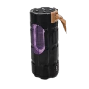 WIRELESS SPEAKER ICONIX BS1355